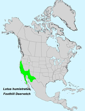 North America species range map for Foothill Deervetch, Lotus humistratus: